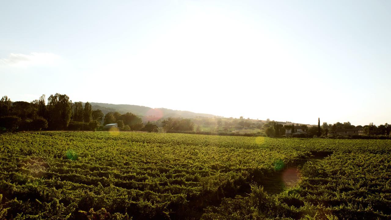 Agriturismo Il Cicaleto Cannara Exteriör bild