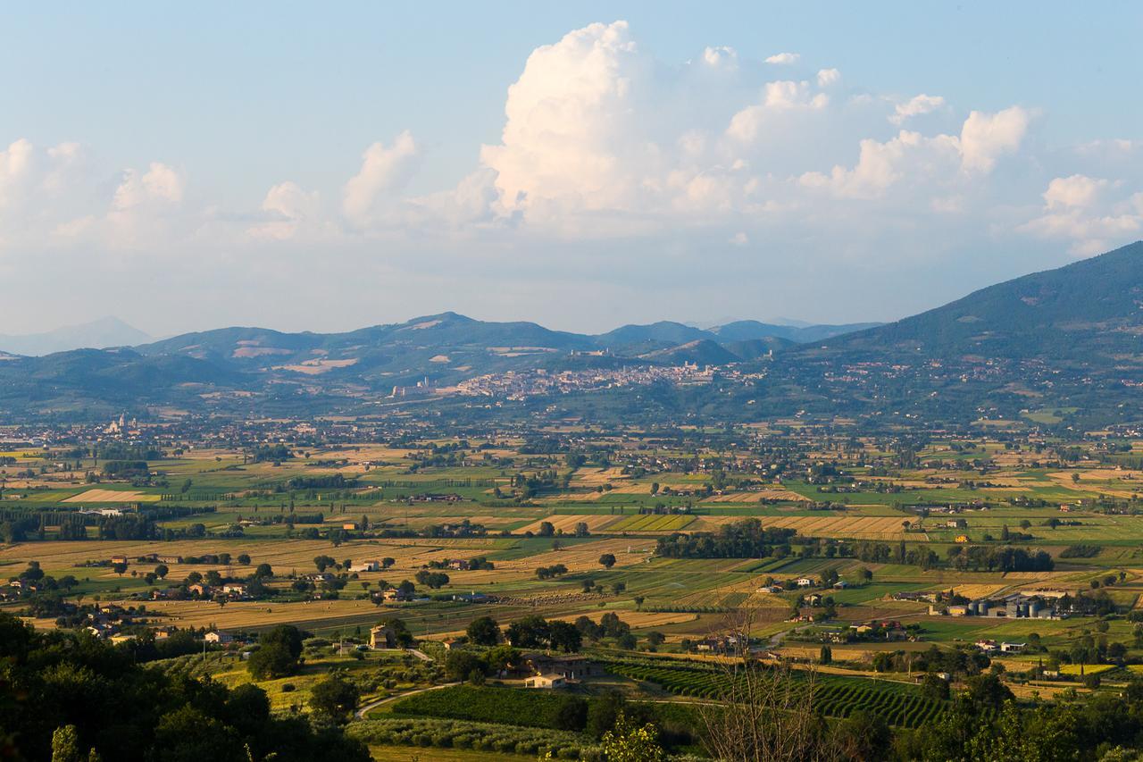 Agriturismo Il Cicaleto Cannara Exteriör bild